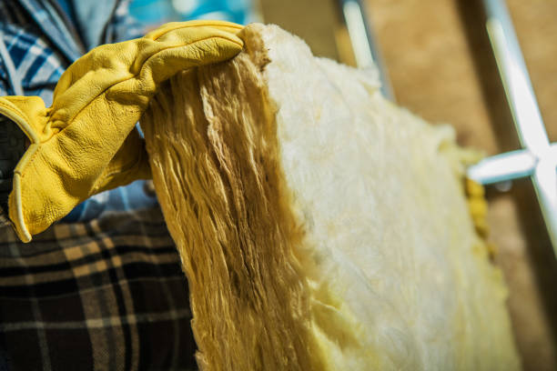 Best Insulation Maintenance and Repair in Clinton, OH