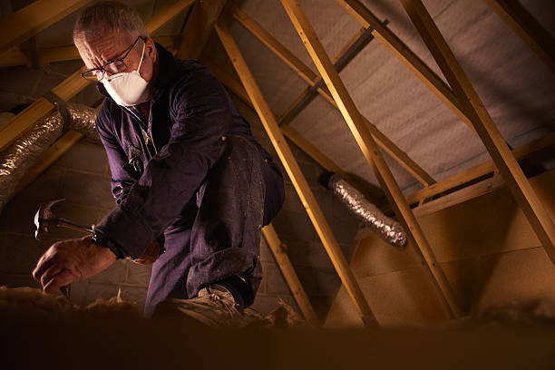 Best Specialty Insulation in Clinton, OH